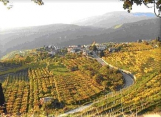  Visita con varios niveles 